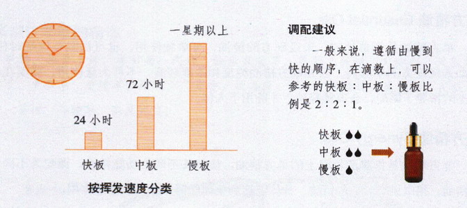精油按照挥发速度分类：快板、慢板、中板
