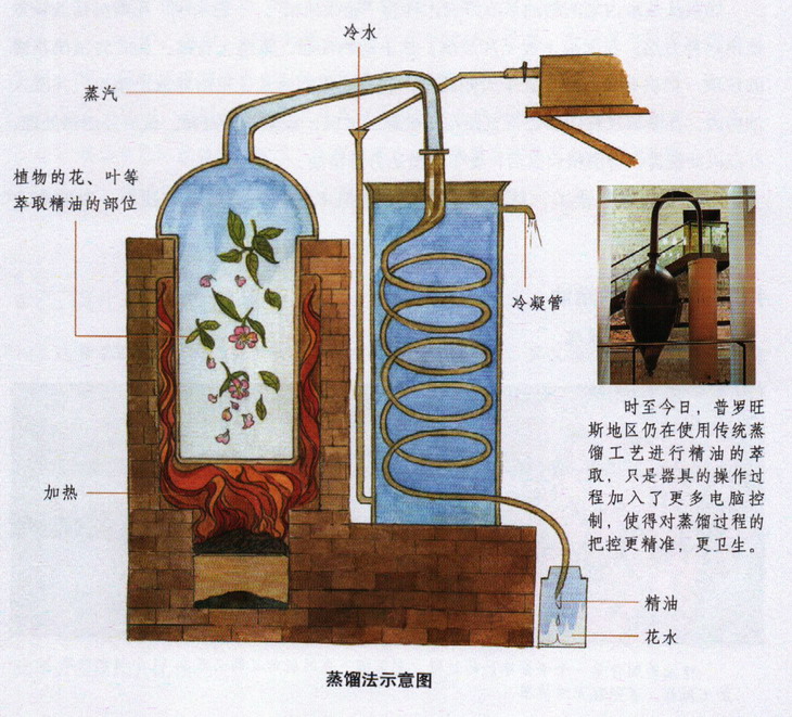 蒸馏法萃取精油