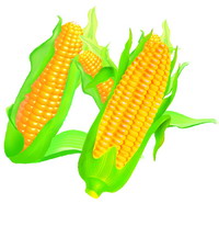 玉米油 Corn Oil