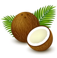 椰子油 Coconut Oil